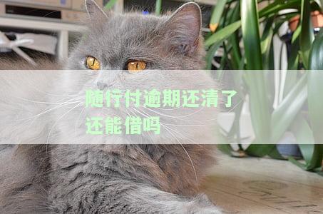 随行付还到上不上征信，还不了款怎么办，后果和通过难度