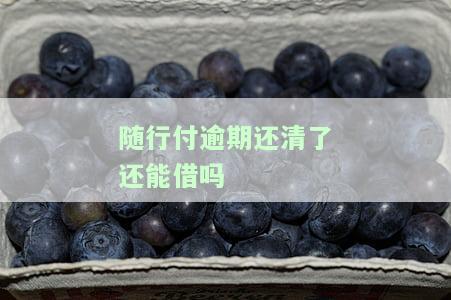 随行付还到还完之后还可以再借吗安全可靠？