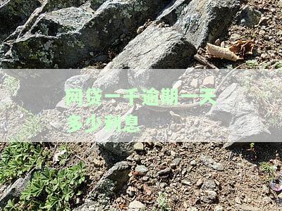 【网贷逾期一千块钱怎么办？】