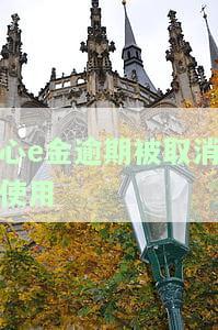 心e金有宽限期吗
