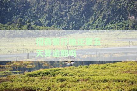招商银行晚还第五天算逾期吗怎么办，晚还5天会上征信吗？