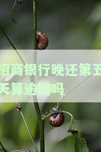招商银行晚还5天如何处理及影响