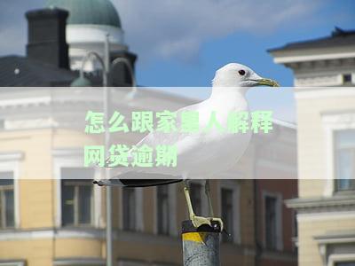 怎么跟家人解释网贷催收是诈骗问题及信息？