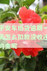 平安车抵贷逾期一天怎么扣款没收违约金