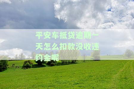 平安车抵贷逾期多久会要求止合同协议，对个人征信有影响吗？