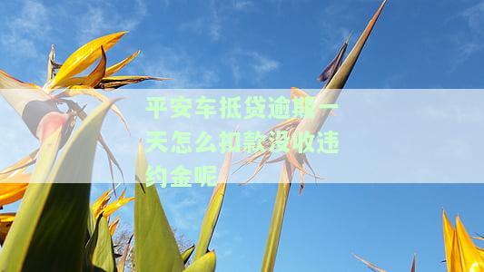 平安车抵贷逾期三天内还款对个人征信有影响吗及相关情况