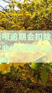 借呗逾期从所有绑定银行卡扣款吗，怎么办？