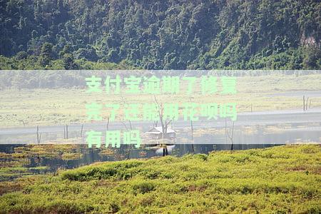 支付宝逾期后修复了多久才能继续使用