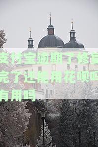 支付宝逾期了修复完了还能用花呗吗有用吗