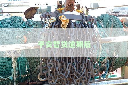 平安智贷逾期后还款还能贷款吗，安全吗？