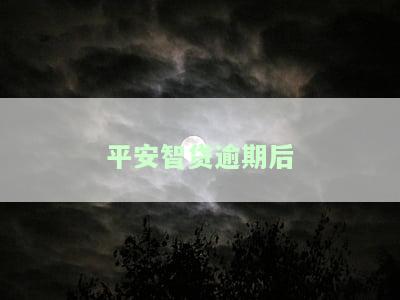 平安智贷逾期一天有影响吗，怎么办？