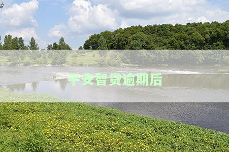 平安智贷逾期后怎么还款