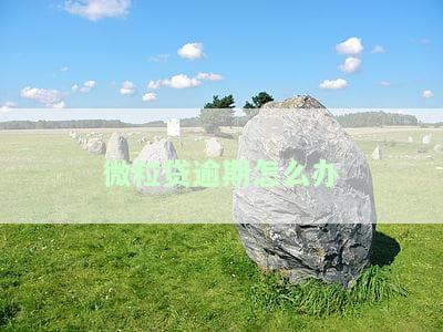 微粒贷逾期怎么办理停息挂账申请及手续？