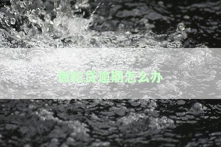 微粒贷逾期怎么办理无期限分期