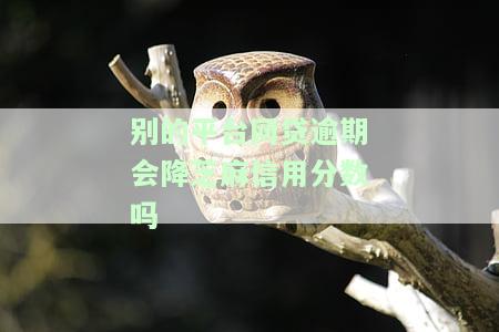 别的网贷平台逾期会影响蚂蚁借呗继续借款吗？