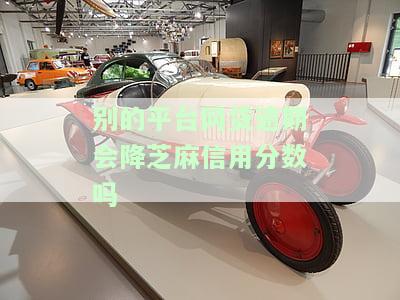 其它网贷逾期了还能在别的平台借吗