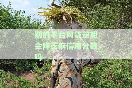 别的平台网贷逾期会降芝麻信用分数吗