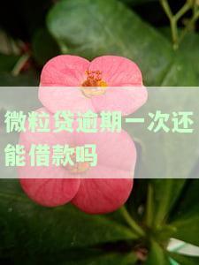 微粒贷逾期一次还能用吗
