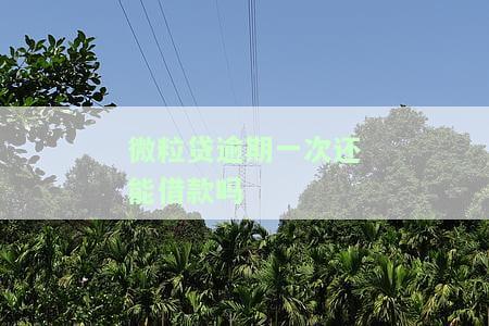 微粒贷逾期一次后就不可以用了吗？如何解决？