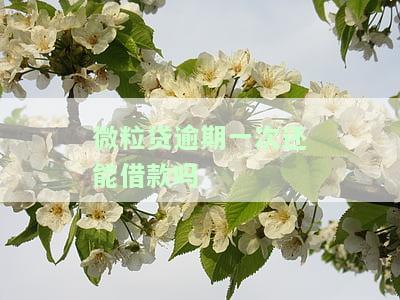 微粒贷逾期一次是不是以后都借不到钱了？