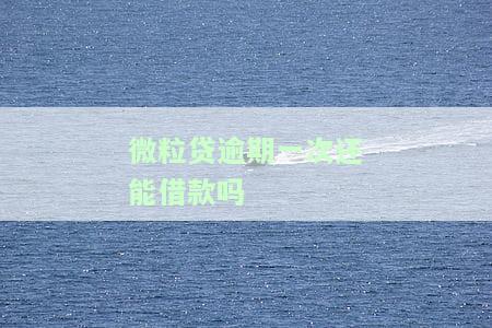 微粒贷逾期一次还能借款吗