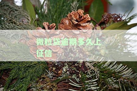 微粒贷逾期多久征信报告能看到记录及影响信用？