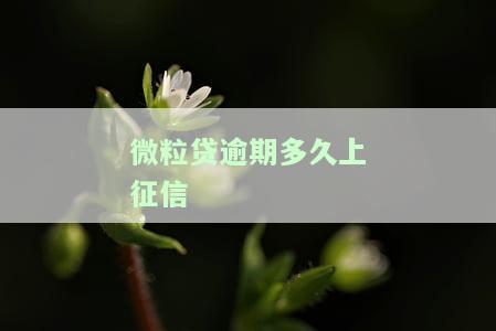 微粒贷逾期多久才能再借？