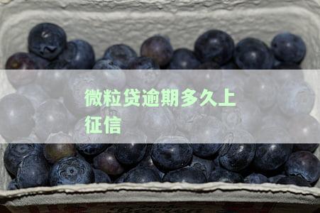 微粒贷逾期多久上征信