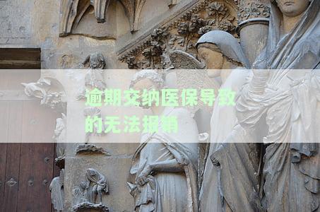 逾期交纳医保导致的无法报销怎么处理