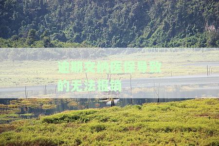 逾期交纳医保导致的无法报销的原因及应对方法