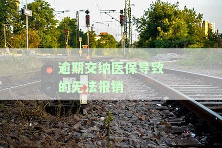逾期交医保怎么办理手续
