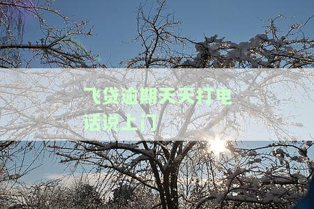 飞贷逾期天天打电话说上门是真的吗？