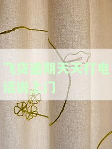 飞贷逾期天天打电话说上门