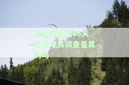 微粒贷逾期66天委派专员调查是真的吗