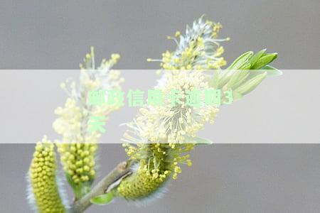 邮政信用卡逾期3天会上征信吗，怎么办？