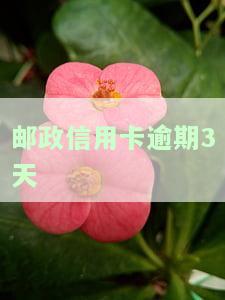 标题: 邮政信用卡逾期3天违约金和利息如何计算？n