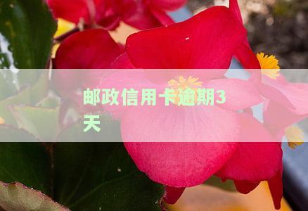 邮政信用卡逾期3天严重吗？如何处理？