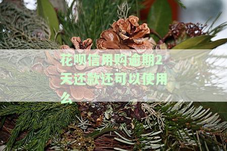 花呗还款逾期2天，征信上会查到吗？逾期还款的后果是什么？