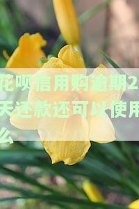 花呗逾期2天上征信吗花呗逾期有什么后果