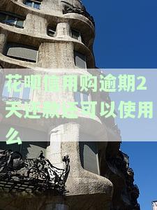 花呗逾期2天后还清了有影响信誉吗？如何恢复使用资格？