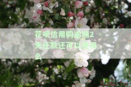 花呗逾期了信用卡还能使用吗