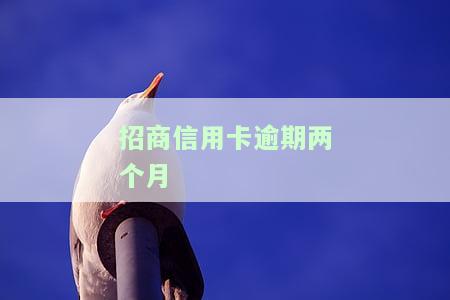 招商信用卡逾期两个月会怎么样会不会被起诉