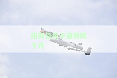 招商信用卡逾期两个月