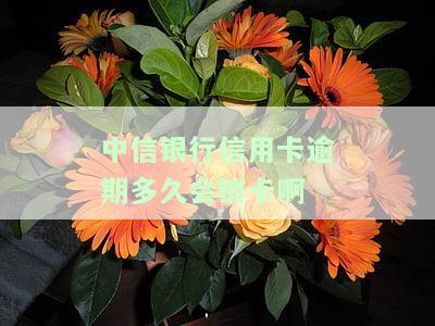 中信银行信用卡逾期多久会销卡啊