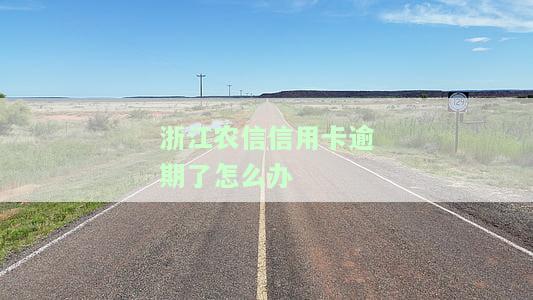 浙江农信信用卡逾期了怎么办理分期还款、期还款、普通还款及宽限期几天