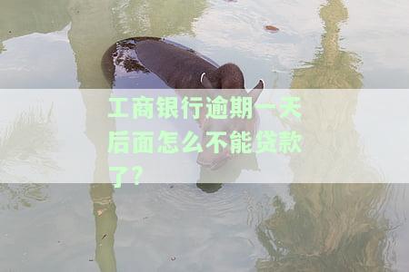 工商银行逾期一天对贷款额度及还款有何影响？