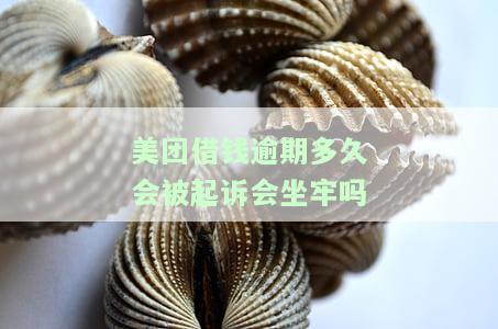 美团借钱逾期多久会被起诉会坐牢吗