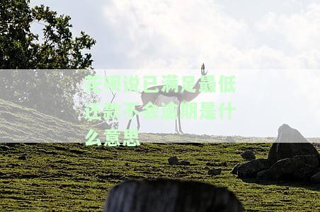 花呗已满足最低还款条件的意思