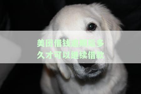 美团借钱逾期几天后全部还了，还能借钱吗？