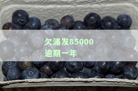 浦发银行逾期一年,金额5000会被起诉吗?怎么办?
